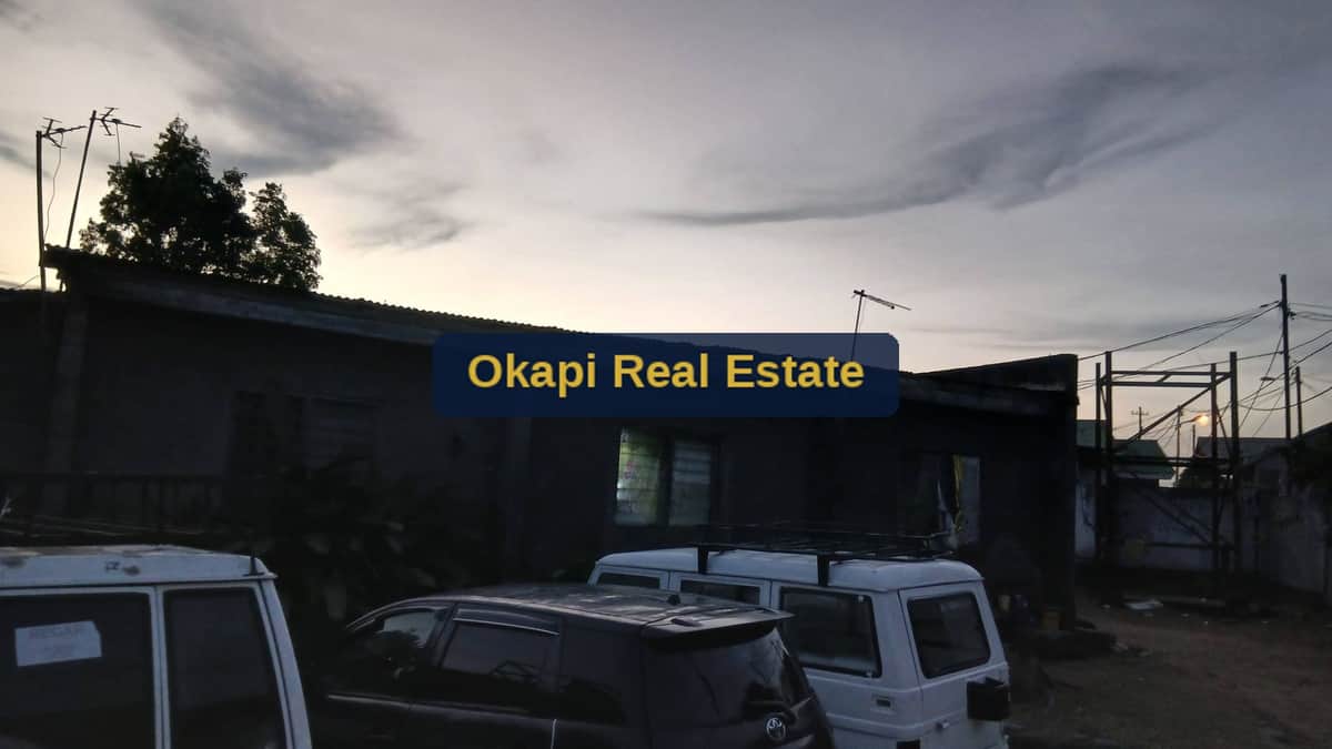 Appartement à louer à mont-ngafula — photo 3