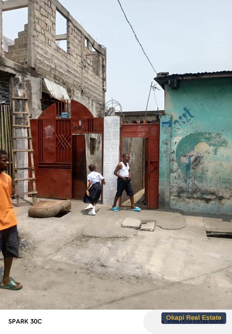 Parcelle à vendre à ngaba — photo 3